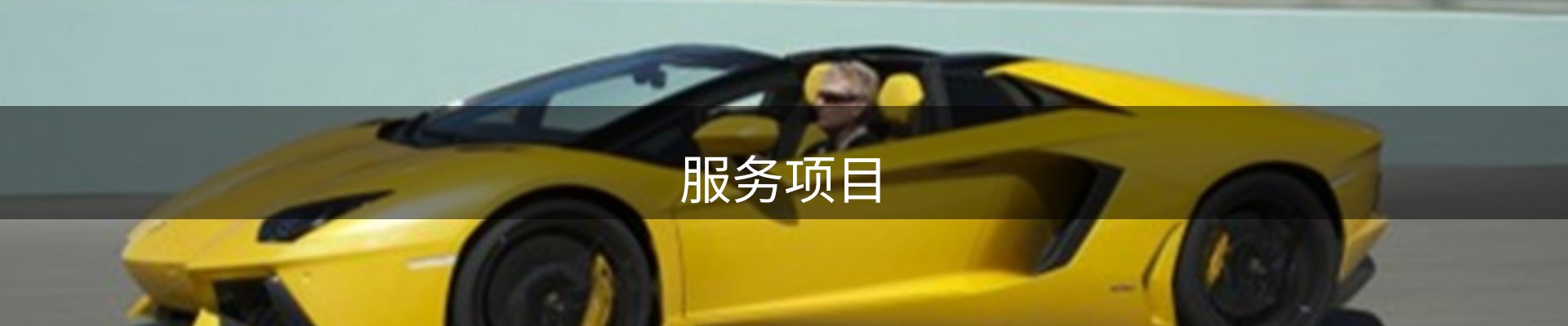 服务项目